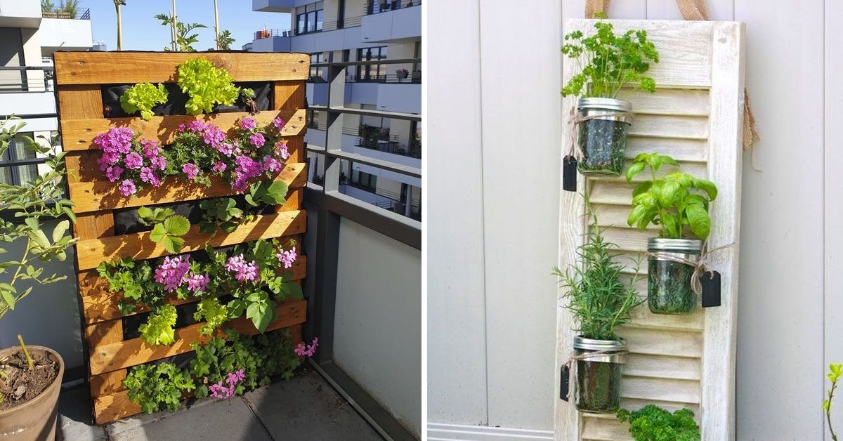 Vertical garden how to have a vegetable garden on your balcony